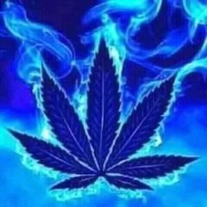 Meet your Posher, Tony